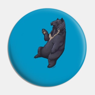 Hello I am Bear. Pin