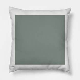 Solid Pastel Green Pillow