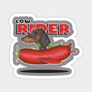 Fun Black and tan Dachshund flying a hot dog plane. Magnet