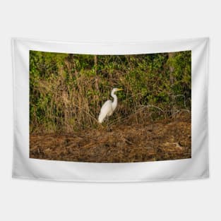 Great white heron in Shallotte Tapestry