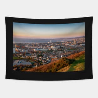 Swansea from Kilvey Hill Tapestry