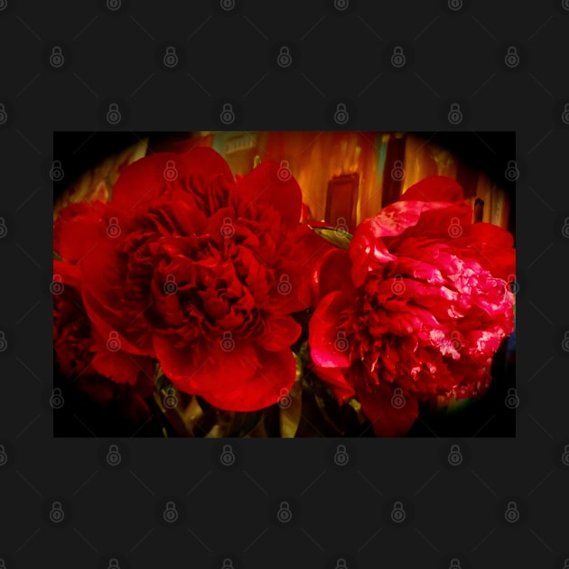 Red Peonies by jennyleeandjim