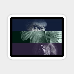 Vegan Herbivore Gorilla Elephant Rhino Collage Magnet