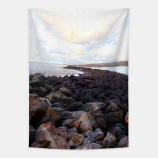 PATH TO THE SEA Tapestry