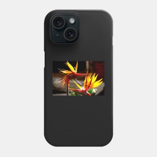 Oiseaux du paradis (Strelitzia Reginae) Fleur du Mexique Phone Case