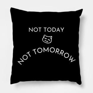 Funny Lazy Cat Not Today Not Tomorrow Pillow