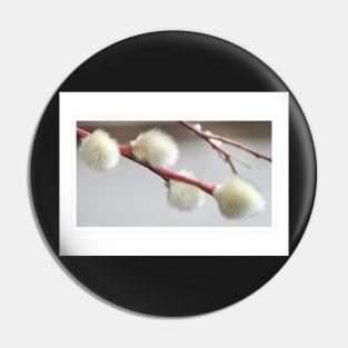 Blooming Catkins Pin