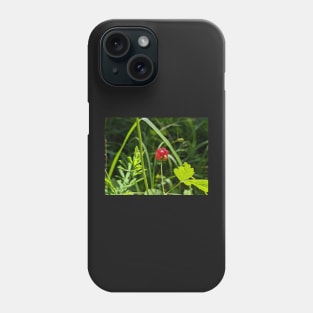 Red Berry In Field Phone Case