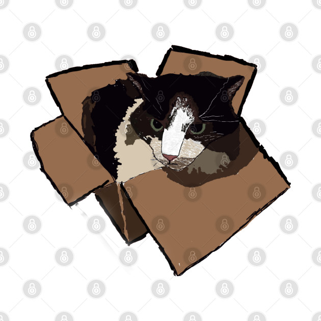 Box Cat by CleggEmporium