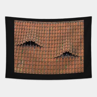 Roof Eyes Tapestry