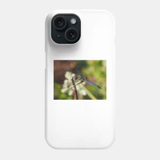 Blue dasher dragonfly (Pachydiplax longipennis) Phone Case