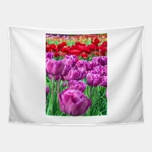 Tulip Field Tapestry