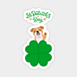 English Bulldog Dog behind Cloverleaf with St. Patrick's Day Sign Magnet