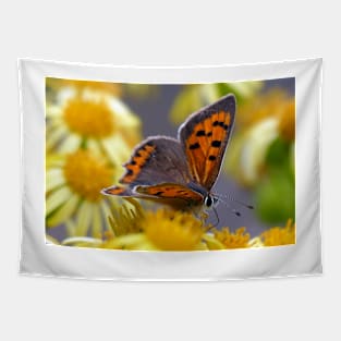 The Small Copper Tapestry