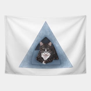 Tabby and White Cat Tapestry