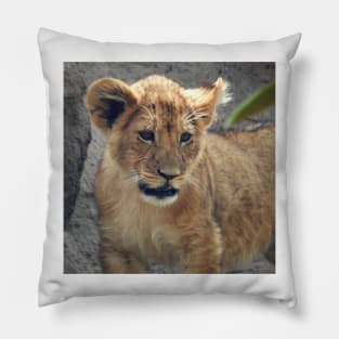 Lion Cub Pillow