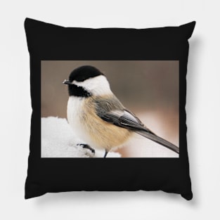 Cute Fluffy Chickadee in the Snow Pillow