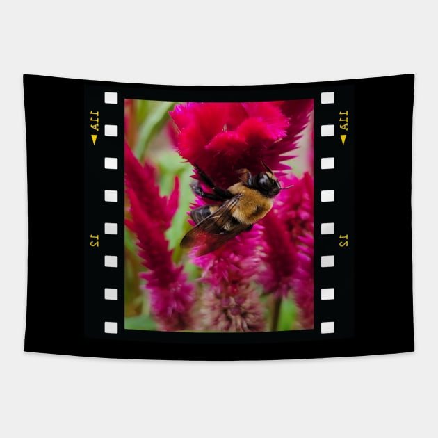 The Humble Bumble Bee Tapestry by SeththeWelsh