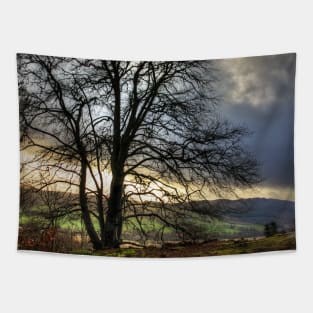 Winter sun Tapestry