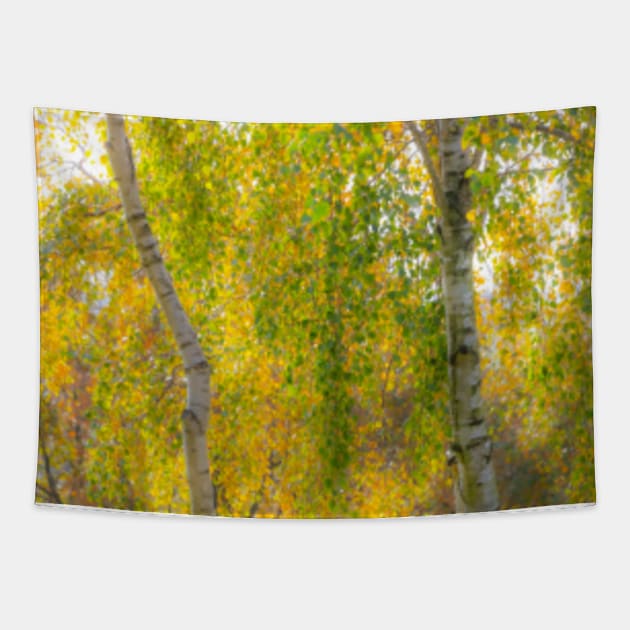 Soft Autumn colours Tapestry by Femaleform