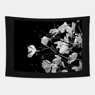 Black and White Magnolia Photography Tapestry