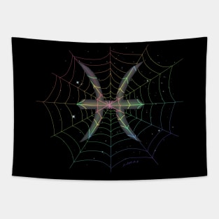 Rainbow Spiderweb Pisces Tapestry