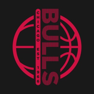 Chicago Bulls 7 T-Shirt