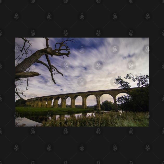 Arthington Viaduct over the River Wharfe by Spookydaz