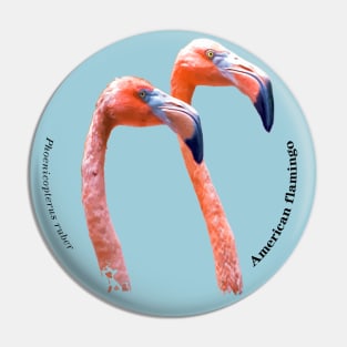 American flamingo pin black text Pin