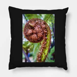 Unfurling Fern Frond Pillow