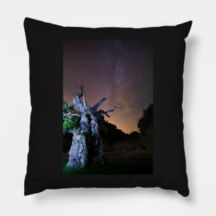 The Laund Oak Tree and The Milky Way 5863 Pillow