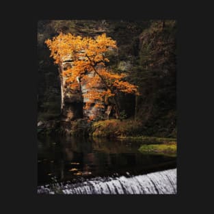 Bohemian Switzerland: Scenic Landscape Photography #4 T-Shirt