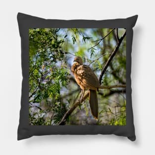 Plain Chachalaca Early Morning Pillow