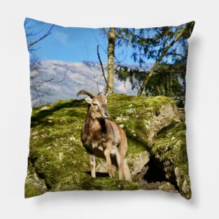 Schweiz / Swiss Artwork Photography Pillow