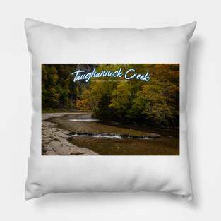 Taughannock Creek Tompkins County New York Pillow