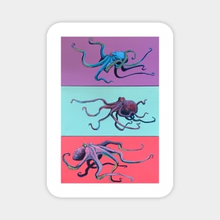 Three Octopi Magnet