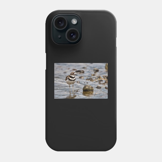 Killdeer at the Beach Phone Case by SHWILDLIFE