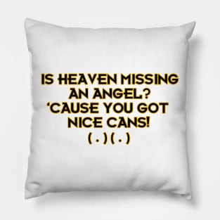 Is Heaven Missing an Angel?  'Cause you got Nice Cans! Pillow