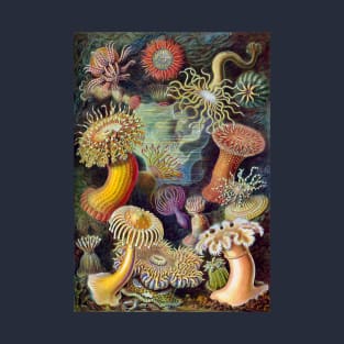 Sea Anemones by Ernst Haeckel T-Shirt