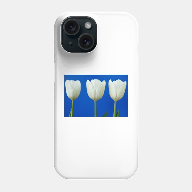 Tulipa  &#39;White Dream&#39;  Tulip Phone Case by chrisburrows