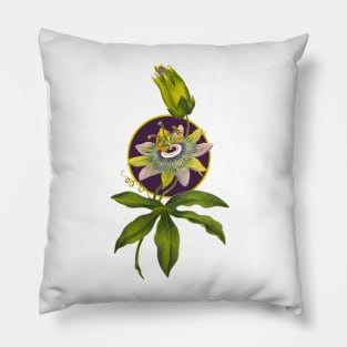 Passion fruit flower Pillow