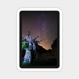 The Laund Oak Tree and The Milky Way 5863 Magnet