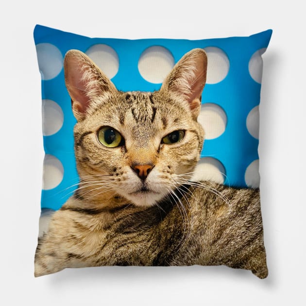 Cat Cafe: Queen Elizabeth (gifts) Pillow by VisualSpice