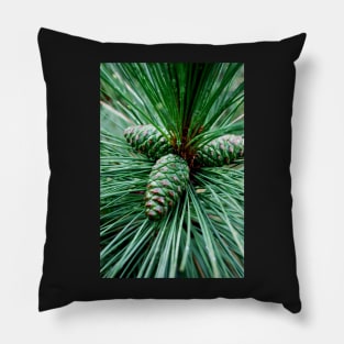 Pine Cones Pillow