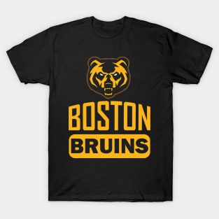 Boston Sports Team Mashup Celtics Bruins Patriots Red Sox Fan T Shirt