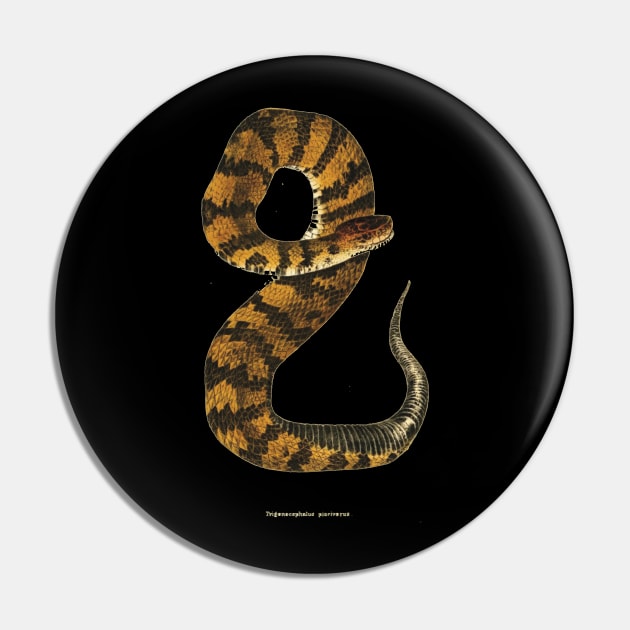 Golden snake Pin by A Little Metal