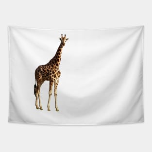 Ugandan Safari Giraffe Tapestry