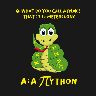 Pi day Python T-Shirt