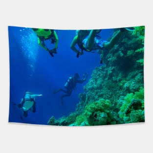 Scuba diving in the Red Sea Tapestry