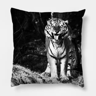 Year of the tiger 2022 - 5 Pillow